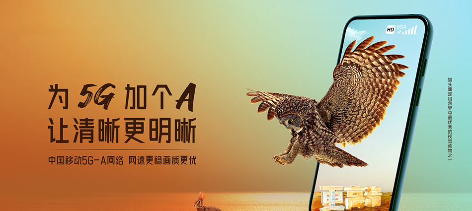 中国移动茂南区移动宽带